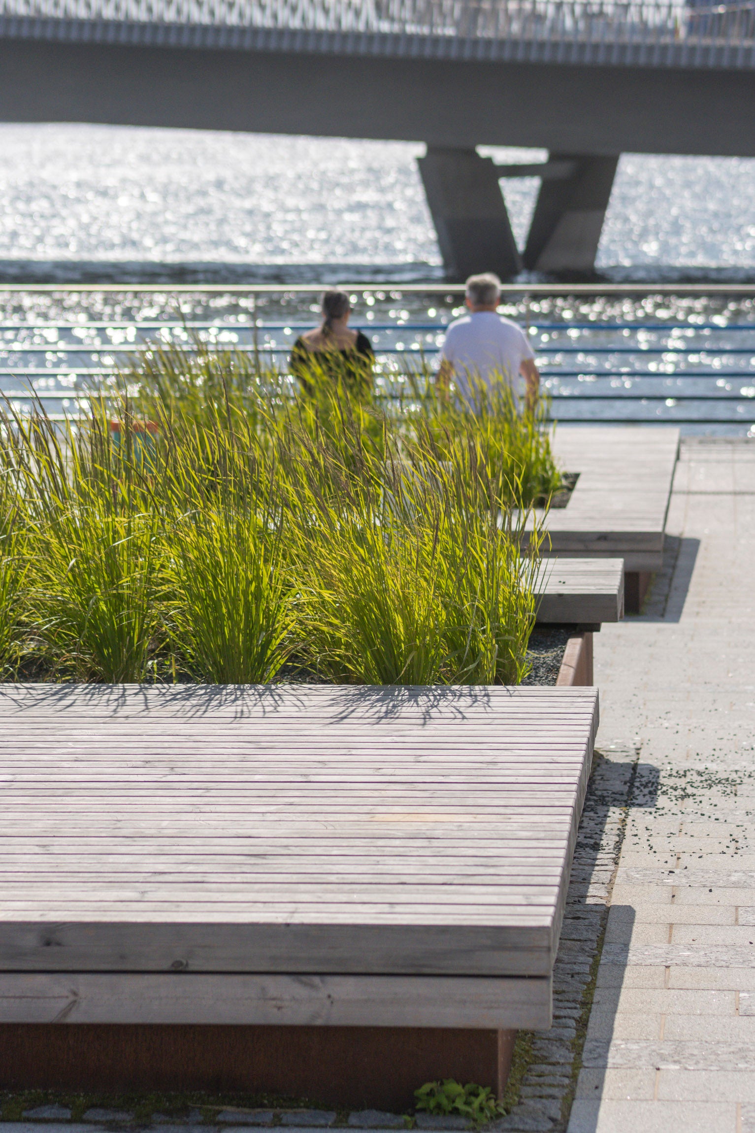 Lehtovuoren mittatilaustyönä suunnittelemat ja valmistamat jättipenkit Helsingin Kalasatamassa