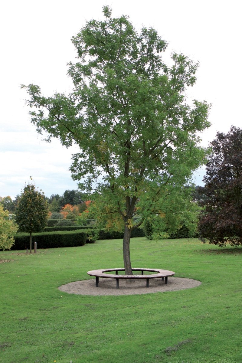 Puistonpenkki Vera Solo LVS610t - Lehtovuori