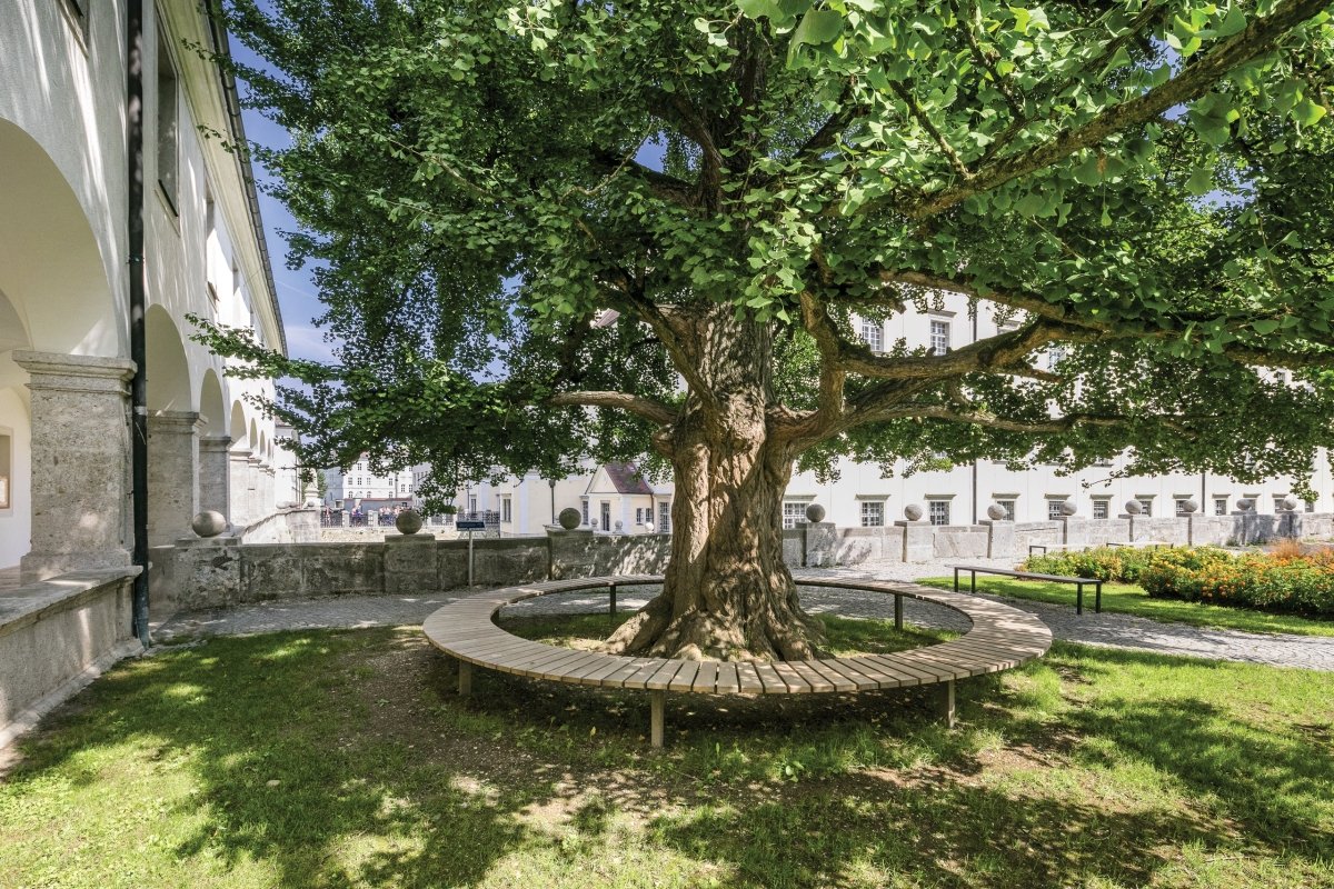 Puistonpenkki Vera Solo LVS650t - Lehtovuori