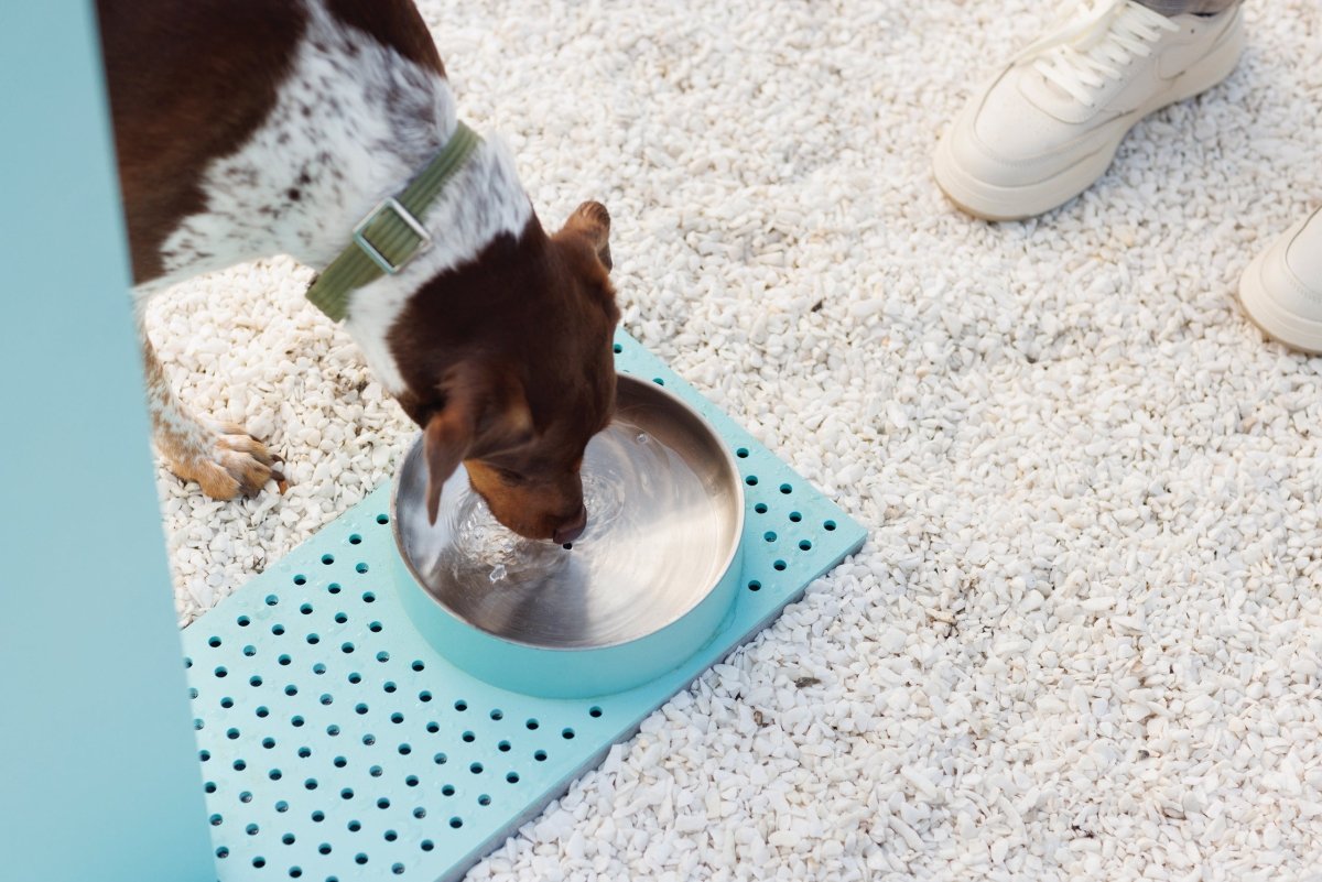 Vesipiste mmcité Fons FNS110 FNS110 - 002000 - ral1000 - Lehtovuori