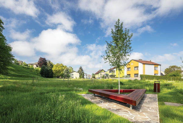 Pennan mmcité Woody LWD302t